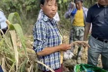 关于\M?ZW赮?Z粱?(%?s